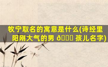 牧宁取名的寓意是什么(诗经里阳刚大气的男 🐈 孩儿名字)